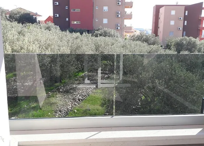 Bareta * تروغير